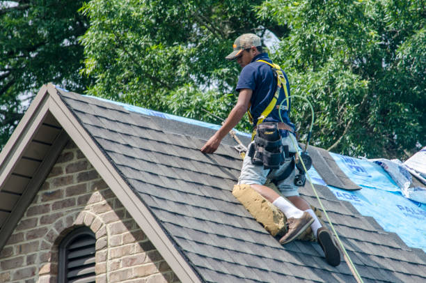 Quick and Trustworthy Emergency Roof Repair Services in Nemacolin, PA